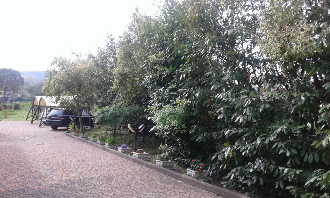 Le Palme Bed & Breakfast Chieti Dış mekan fotoğraf